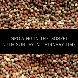 Growing in the Gospel - 27th Sunday in Ordinary Time