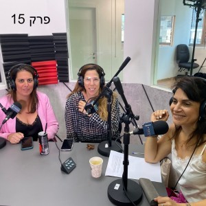 פרק 15: מה קורה בחדר הגישור? איך מביאים את המטרה המשותפת לידי ביטוי? איך כל צד מקבל את התמיכה?