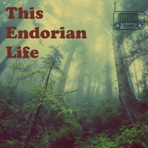 Coming Soon: This Endorian Life