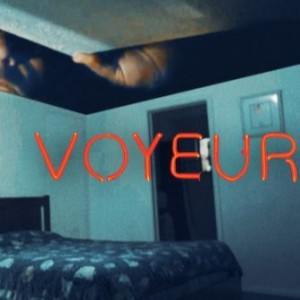 41 - Voyeur