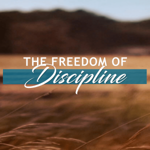 The Freedom of Discipline