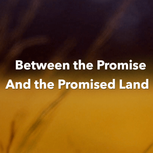 Between the Promise and the Promised Land