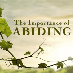 The Importance of Abiding