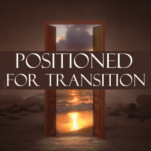 Positioned for Transition