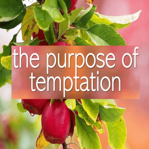 The Purpose of Temptation