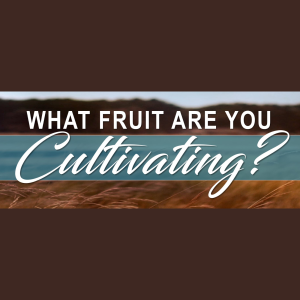 What Fruit are you Cultivating