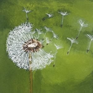 A Breath of Song