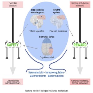 Neurobiology and Systems Biology of Stress Resilience