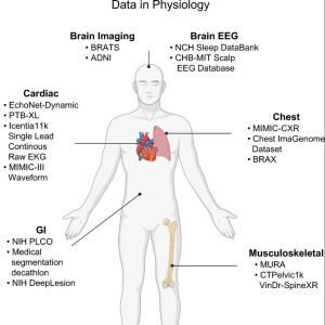 AI in Physiology and Healthcare