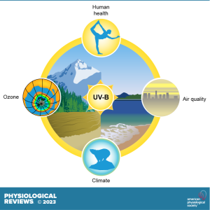 Effects of Climate Change on Ozone and UV-B