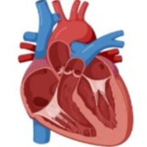 Genome-wide Association Studies of Cardiovascular Disease