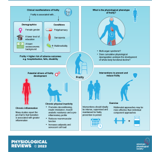 Human Frailty and Its Modulation by Physical Activity