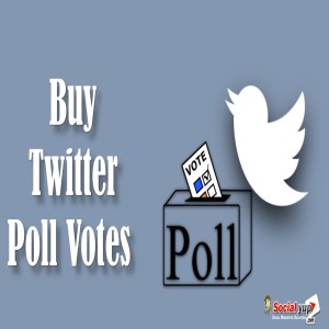 Buy Twitter Poll Votes for Instant Feedbacks