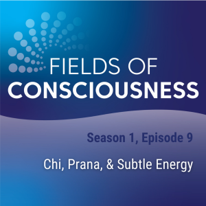 Ep 9: Chi, Prana, & Subtle Energy