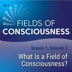 Ep 2: What is a Field of Consciousness?