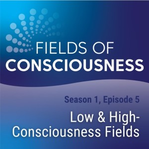 Ep 5: Low & High Consciousness Fields