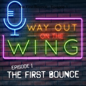 Episode 1 - The First Bounce