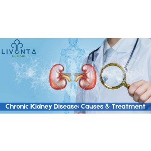 Chronic Kidney Disease: Causes & Treatment