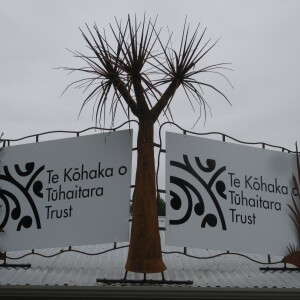 Greg Brynes - Park Manager - Friends of Tūhaitara Coastal Park - 2nd Update after the fire