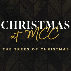 THE TREES OF CHRISTMAS: MATTHEW 1 & LUKE 3, THE FAMILY TREE