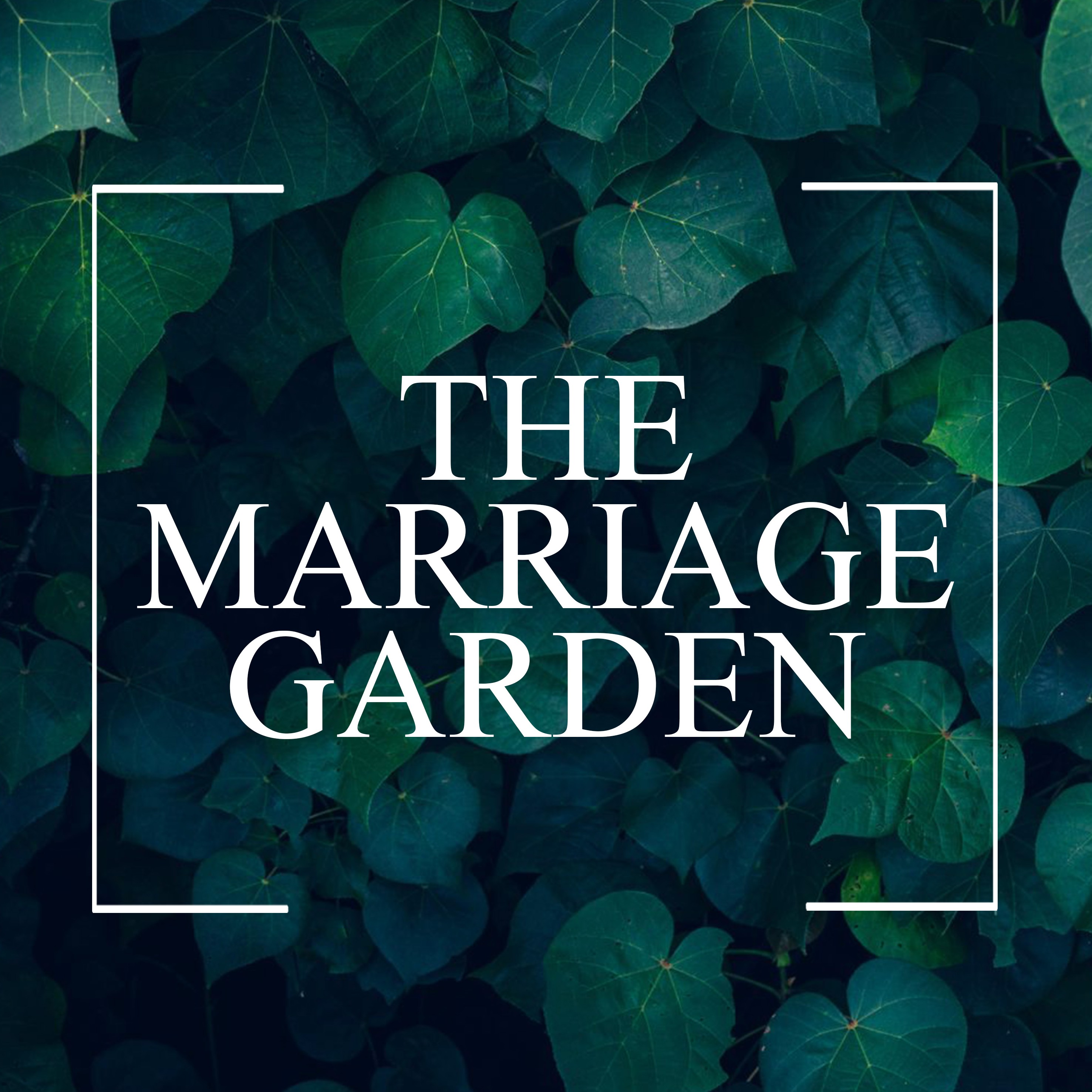 Montgomery Community Church: Sermon Audio