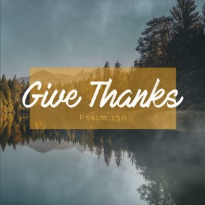 Give Thanks | Shawna Goldstein