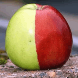 S2E18 Red World Green World