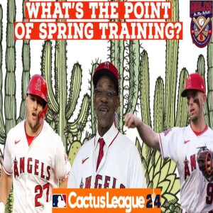 What’s the point of spring training?