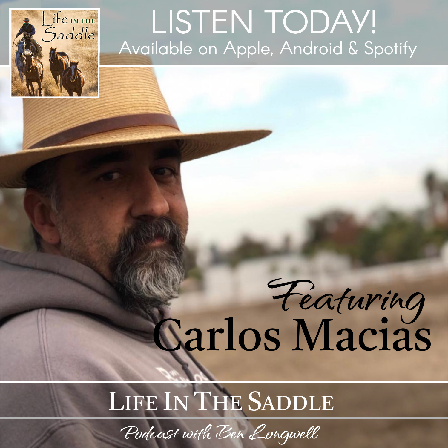 Life In The Saddle