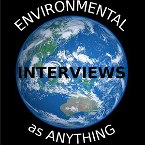 Blair Palese talks on the possibilities of a green stimulus.