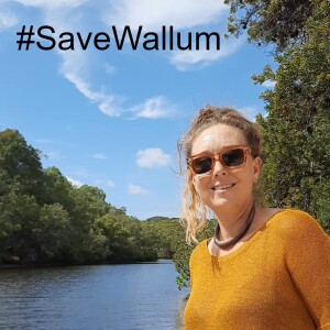 Save Wallum Campaign Ramps Up in Byron Shire