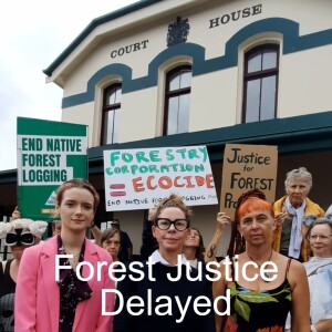 Justice Delayed for Gliders, Forest Protectors and Climate
