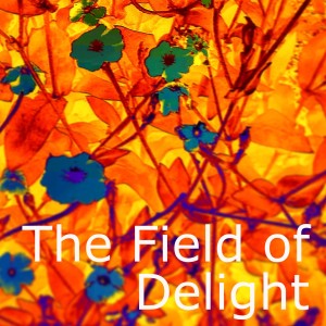 The Field of Delight
