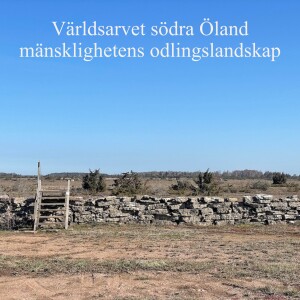 68. Världsarvet södra Öland - mänsklighetens odlingslandskap