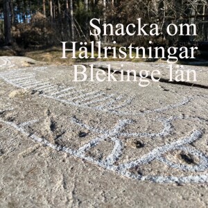 59. Snacka om Hällristningar - Blekinge län