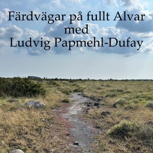 114. Färdvägar på fullt Alvar med Ludvig Papmehl-Dufay