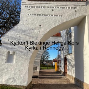 30. Kyrkor i Blekinge Heliga Kors Kyrka i Ronneby