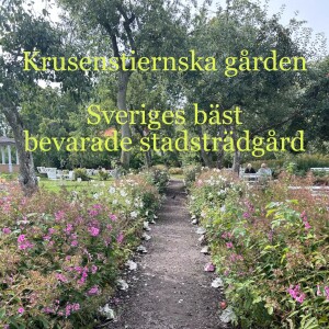 116. Krusenstiernska gården - Sveriges bäst bevarade stadsträdgård