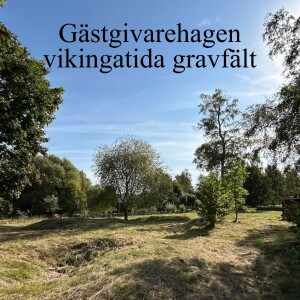 117. Gästgivarehagen - vikingatida gravfält