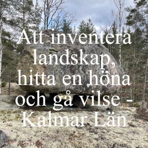 64. Att inventera landskap, hitta en höna och gå vilse - Kalmar Län