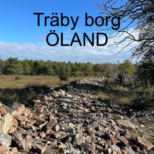 120. Träby borg  - ÖLAND