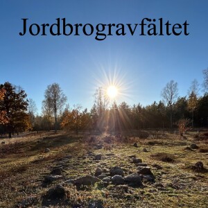 119. Jordbrogravfältet