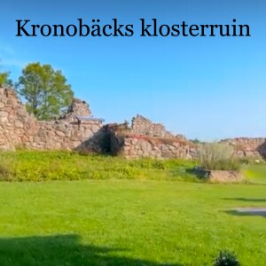 129. Kronobäcks klosterruin - Kalmar län