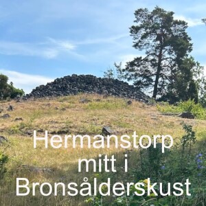 76. Hermanstorp mitt i Bronsålderskust