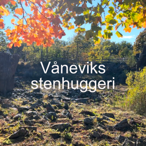 130. Våneviks stenhuggeri