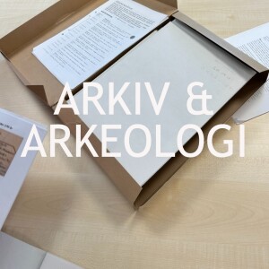 113. Arkiv & Arkeologi