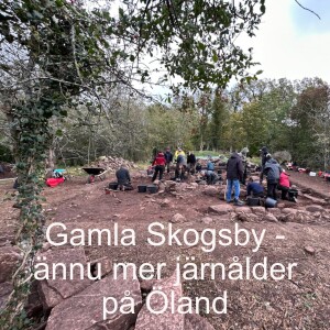 84. Gamla Skogsby - ännu mer järnålder på Öland