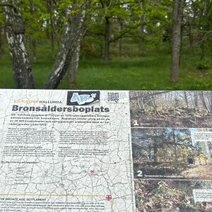144. Bronsåldersvillor i Hallunda och hällristningarna i Slagsta