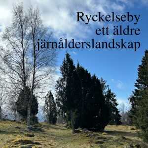 118. Ryckelseby ett äldere järnålderslandskap