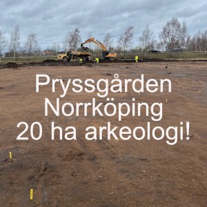 104. Pryssgården Norrköping - 20 ha arkeologi!